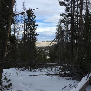 Meet your Posher, Spencer